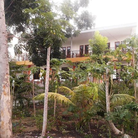 The Teuz B&B Labuan Bajo Eksteriør bilde